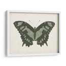 Hermosa Mariposa Ii - Vision Studio | Cuadro decorativo de Canvas Lab