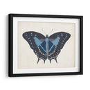 Hermosa Mariposa Iii - Vision Studio | Cuadro decorativo de Canvas Lab