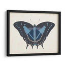 Hermosa Mariposa Iii - Vision Studio | Cuadro decorativo de Canvas Lab