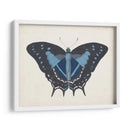 Hermosa Mariposa Iii - Vision Studio | Cuadro decorativo de Canvas Lab