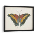 Hermosa Mariposa Iv - Vision Studio | Cuadro decorativo de Canvas Lab