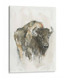 Buffalo Americano I - Ethan Harper | Cuadro decorativo de Canvas Lab