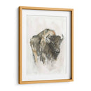 Buffalo Americano I - Ethan Harper | Cuadro decorativo de Canvas Lab