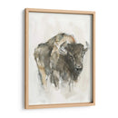 Buffalo Americano I - Ethan Harper | Cuadro decorativo de Canvas Lab