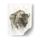 Buffalo Americano I - Ethan Harper | Cuadro decorativo de Canvas Lab