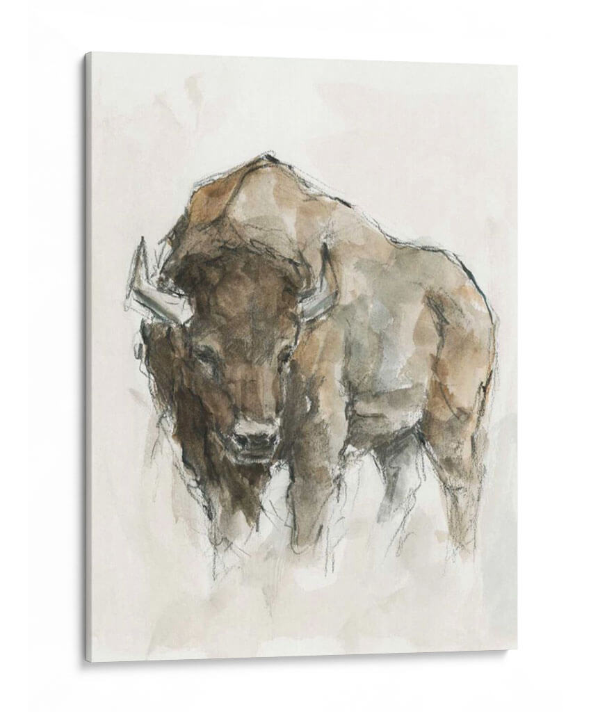 Búfalo Americano Ii - Ethan Harper | Cuadro decorativo de Canvas Lab