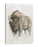 Búfalo Americano Ii - Ethan Harper | Cuadro decorativo de Canvas Lab