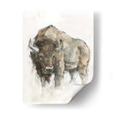 Búfalo Americano Ii - Ethan Harper | Cuadro decorativo de Canvas Lab