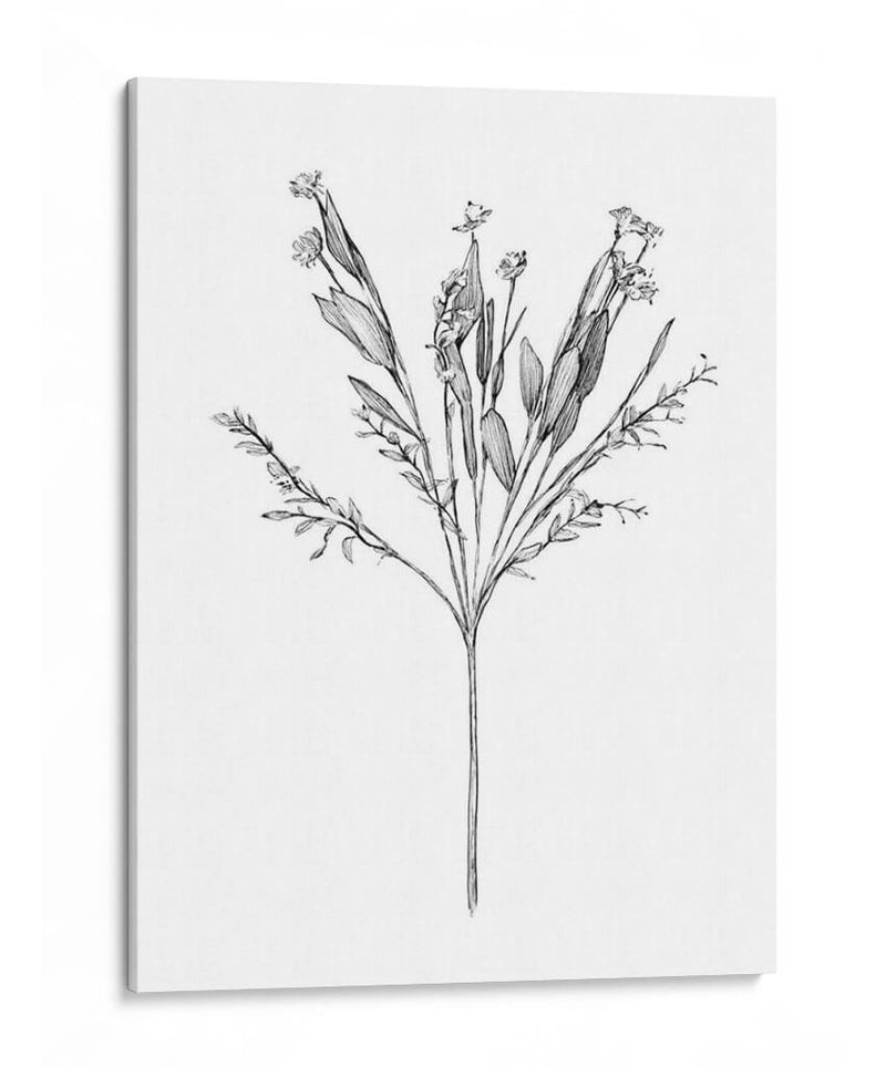 Flor De Campo I - Jacob Green | Cuadro decorativo de Canvas Lab