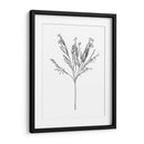 Flor De Campo I - Jacob Green | Cuadro decorativo de Canvas Lab