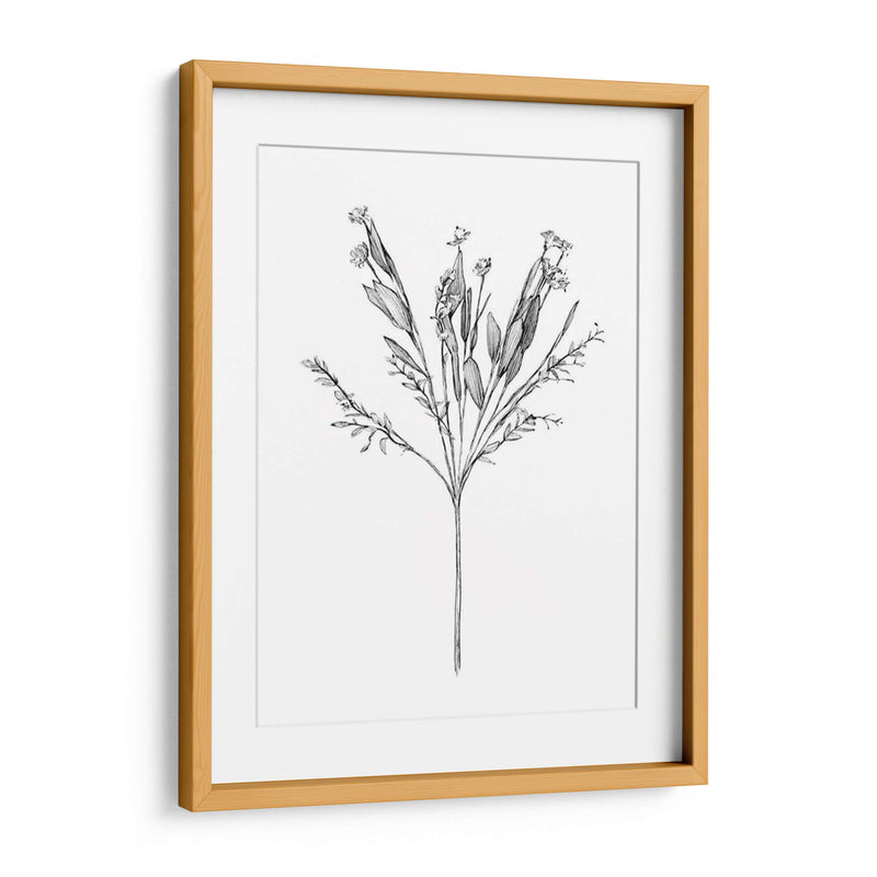 Flor De Campo I - Jacob Green | Cuadro decorativo de Canvas Lab