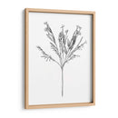 Flor De Campo I - Jacob Green | Cuadro decorativo de Canvas Lab