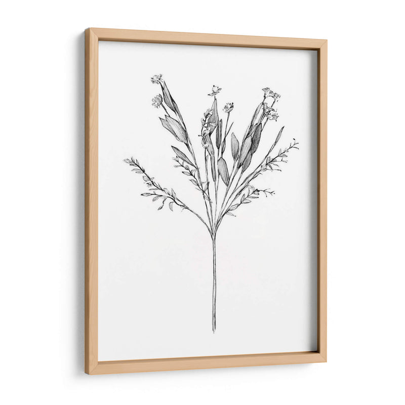 Flor De Campo I - Jacob Green | Cuadro decorativo de Canvas Lab