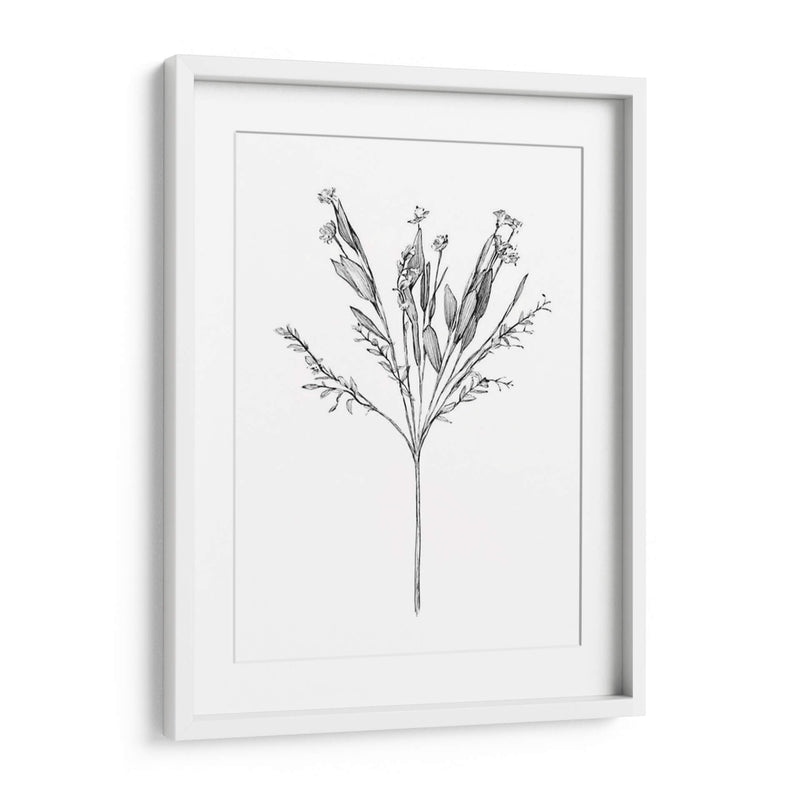 Flor De Campo I - Jacob Green | Cuadro decorativo de Canvas Lab