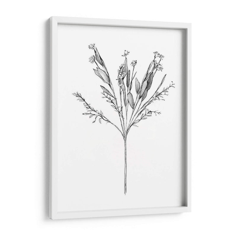 Flor De Campo I - Jacob Green | Cuadro decorativo de Canvas Lab