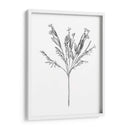Flor De Campo I - Jacob Green | Cuadro decorativo de Canvas Lab