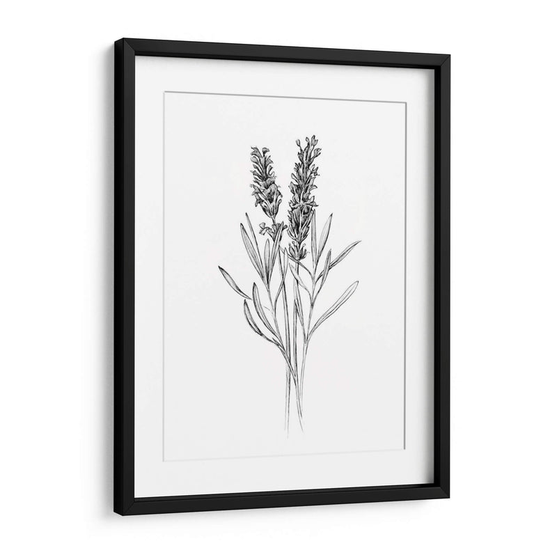 Flor De Campo Ii - Jacob Green | Cuadro decorativo de Canvas Lab