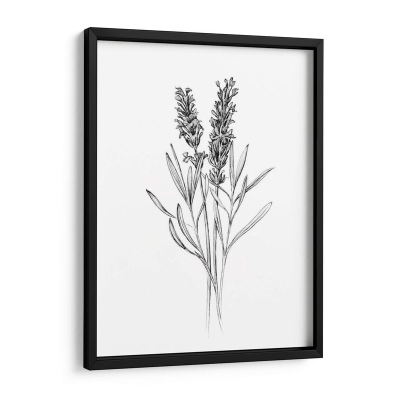 Flor De Campo Ii - Jacob Green | Cuadro decorativo de Canvas Lab