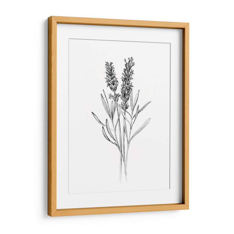 Flor De Campo Ii - Jacob Green | Cuadro decorativo de Canvas Lab