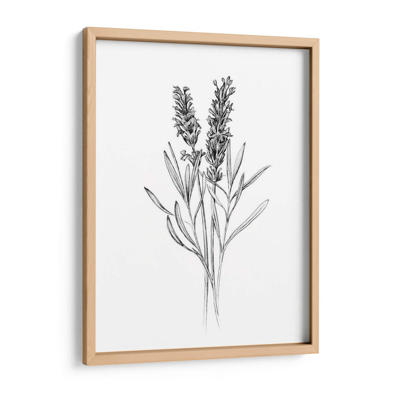 Flor De Campo Ii - Jacob Green | Cuadro decorativo de Canvas Lab