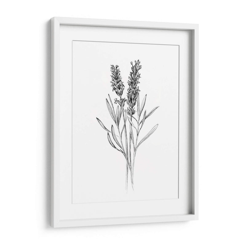 Flor De Campo Ii - Jacob Green | Cuadro decorativo de Canvas Lab