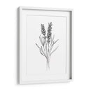 Flor De Campo Ii - Jacob Green | Cuadro decorativo de Canvas Lab
