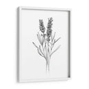 Flor De Campo Ii - Jacob Green | Cuadro decorativo de Canvas Lab