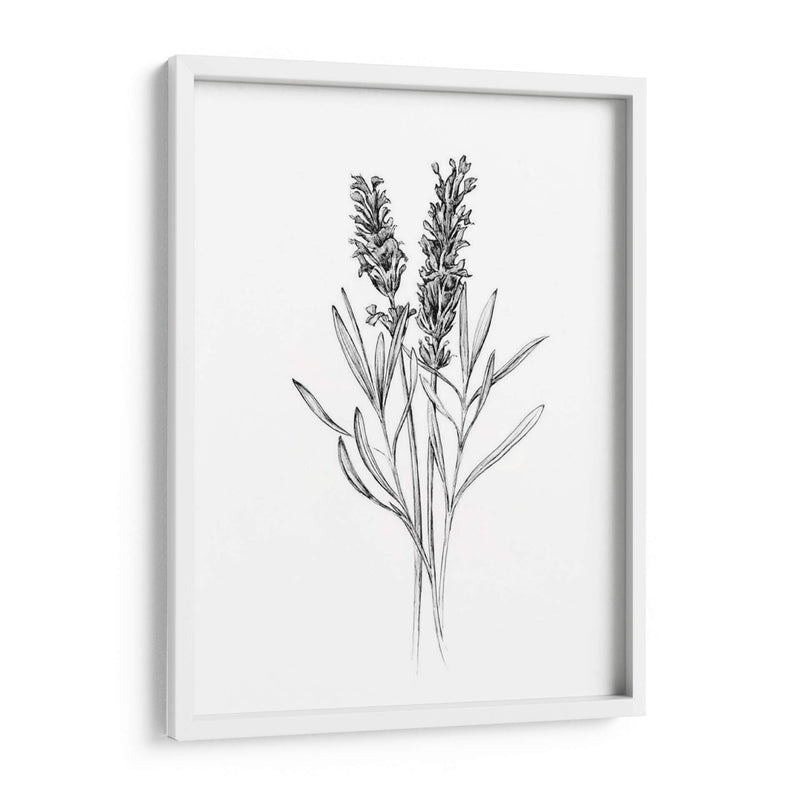 Flor De Campo Ii - Jacob Green | Cuadro decorativo de Canvas Lab