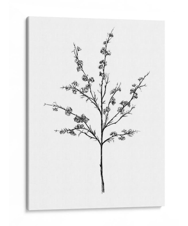 Campo Flor Iii - Jacob Green | Cuadro decorativo de Canvas Lab