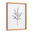 Campo Flor Iii - Jacob Green | Cuadro decorativo de Canvas Lab