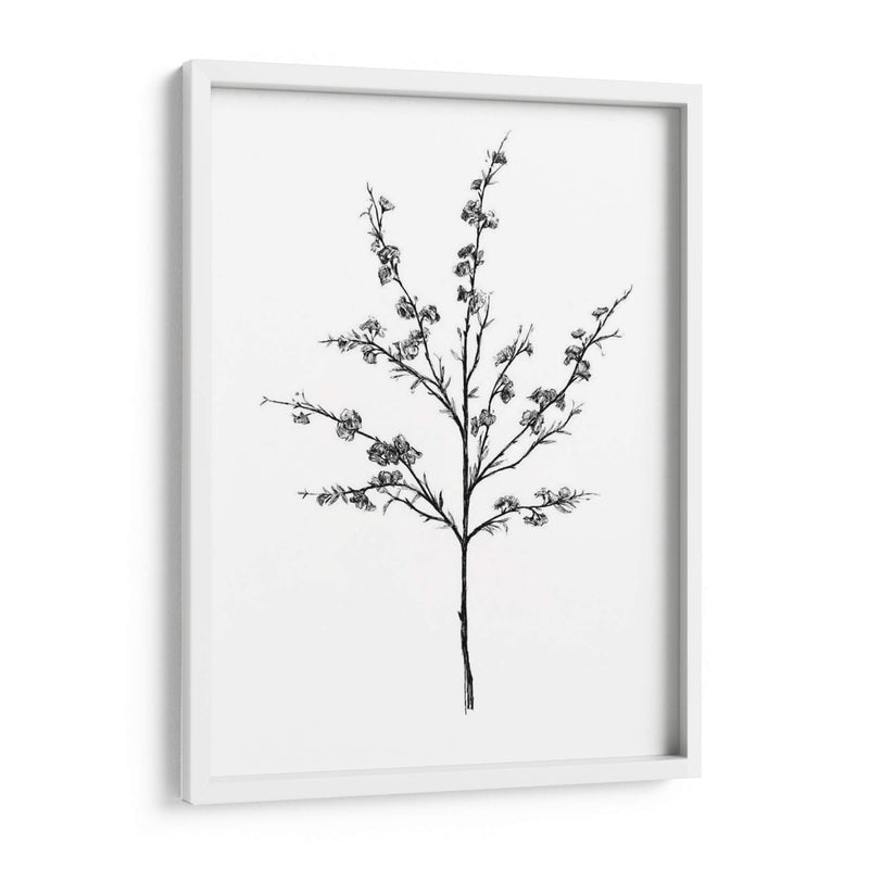 Campo Flor Iii - Jacob Green | Cuadro decorativo de Canvas Lab