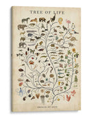 Árbol De La Vida - Studio W | Cuadro decorativo de Canvas Lab