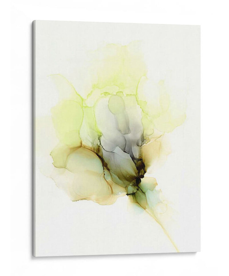 Fluid Bloom Ii - Jennifer Goldberger | Cuadro decorativo de Canvas Lab