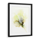 Fluid Bloom Ii - Jennifer Goldberger | Cuadro decorativo de Canvas Lab