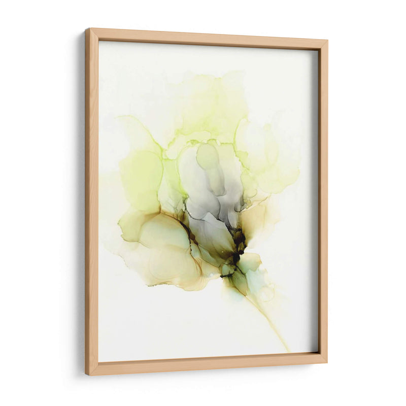 Fluid Bloom Ii - Jennifer Goldberger | Cuadro decorativo de Canvas Lab