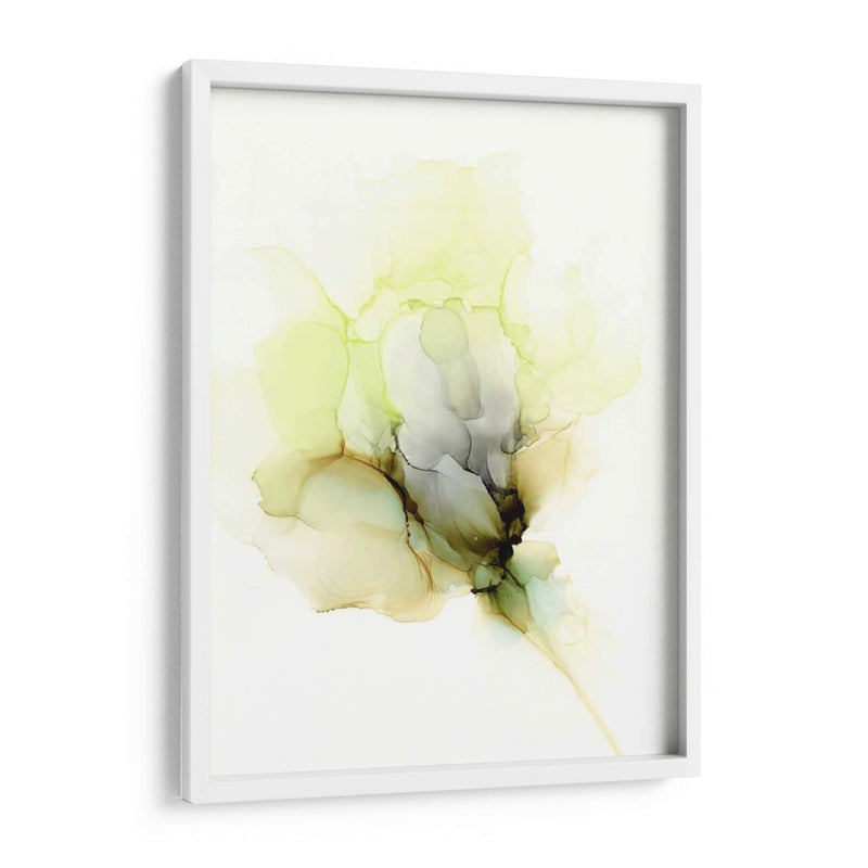 Fluid Bloom Ii - Jennifer Goldberger | Cuadro decorativo de Canvas Lab