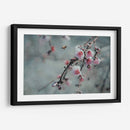 Abeja y flor de cerezo | Cuadro decorativo de Canvas Lab