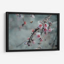 Abeja y flor de cerezo | Cuadro decorativo de Canvas Lab