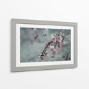 Abeja y flor de cerezo | Cuadro decorativo de Canvas Lab
