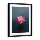 Loto magenta | Cuadro decorativo de Canvas Lab