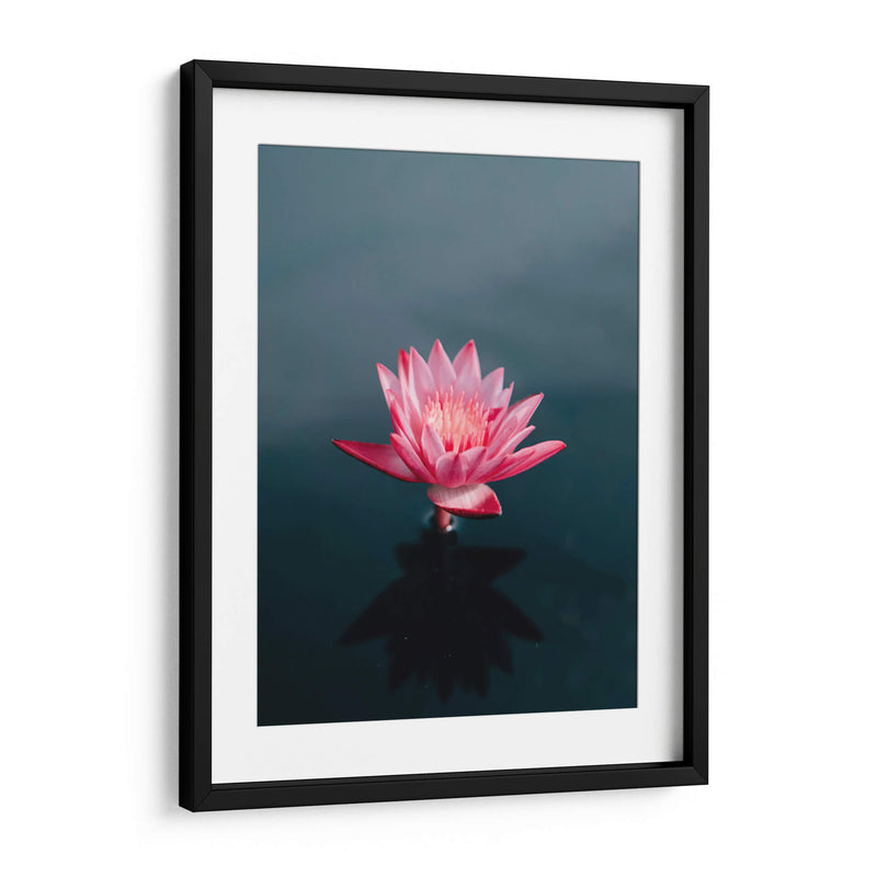 Loto magenta | Cuadro decorativo de Canvas Lab