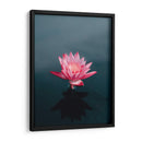 Loto magenta | Cuadro decorativo de Canvas Lab