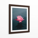 Loto magenta | Cuadro decorativo de Canvas Lab
