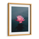 Loto magenta | Cuadro decorativo de Canvas Lab