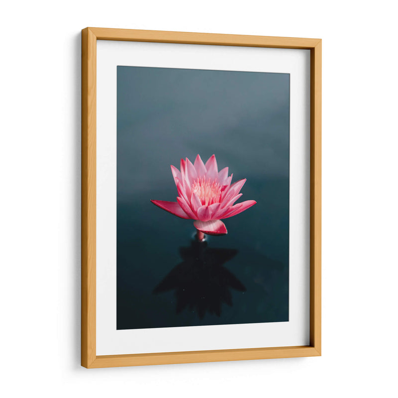 Loto magenta | Cuadro decorativo de Canvas Lab