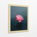 Loto magenta | Cuadro decorativo de Canvas Lab