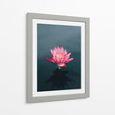 Loto magenta | Cuadro decorativo de Canvas Lab