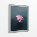 Loto magenta | Cuadro decorativo de Canvas Lab