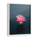 Loto magenta | Cuadro decorativo de Canvas Lab