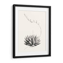 Suculenta Gráfica Iv - Vision Studio | Cuadro decorativo de Canvas Lab